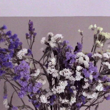 Casa Betania Szálloda Cortona