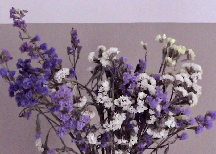 Casa Betania Hotel Cortona